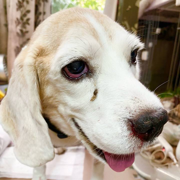 B29ae8e9 32c8 4fe2 9cc7 2dab7f34af2e 1669782222621