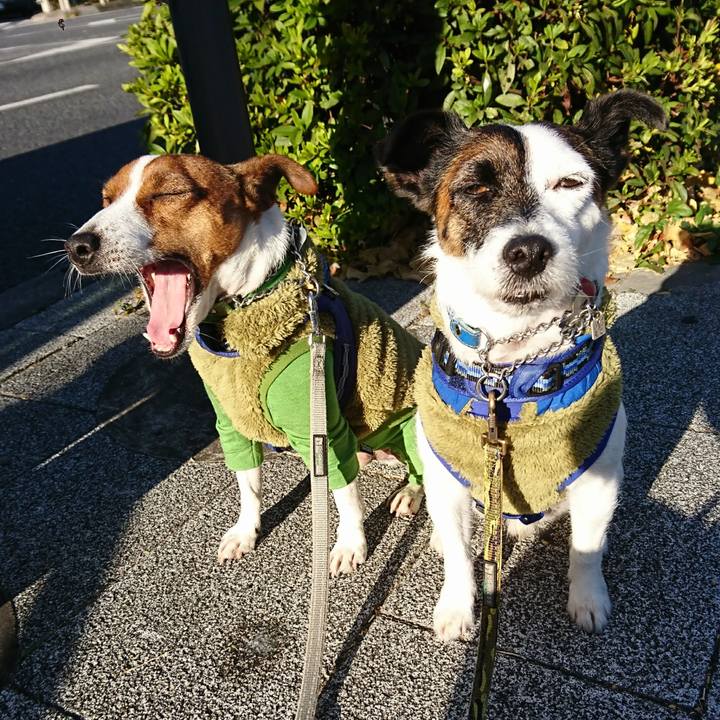 B29b08de edf1 4165 a8ff 5a96565c0cd4 1608768206688