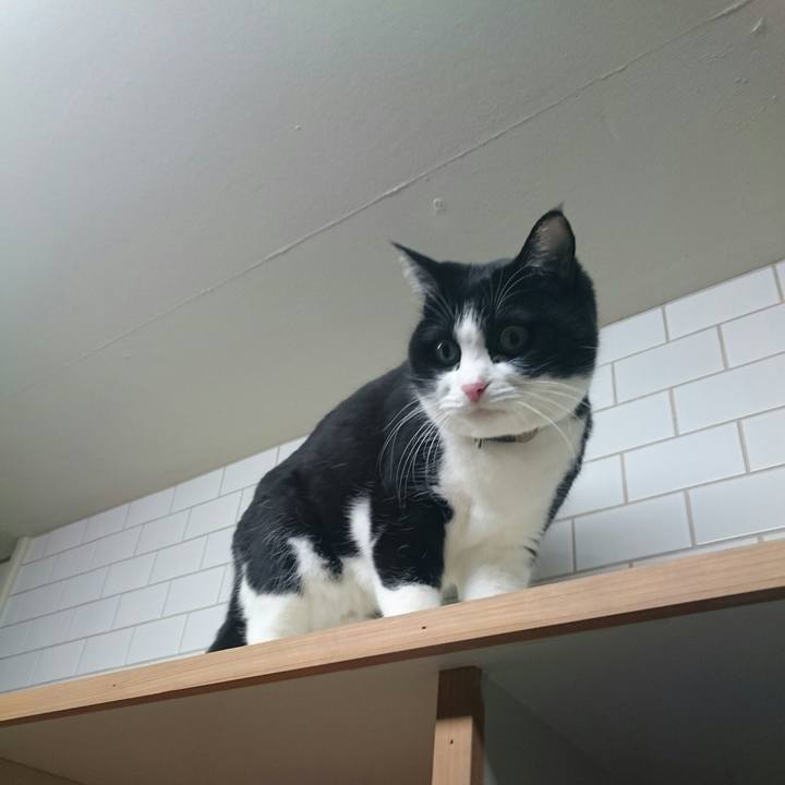 B29b2eaf 41aa 4949 9a61 bc7919882be3 1514551975471