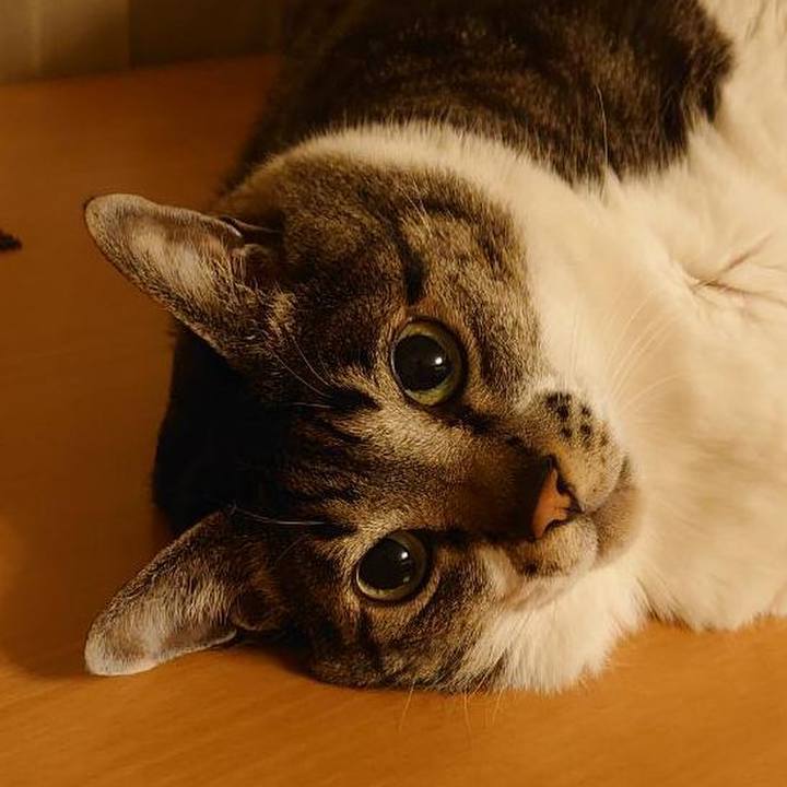 B29b4643 f075 4e1a b47d 52e92c5e1869 1640160769318