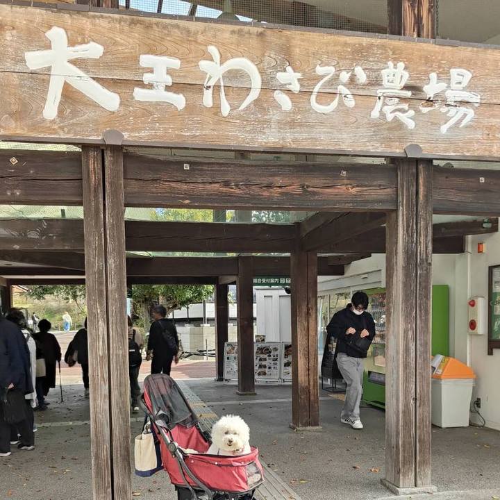 B29b669f 9abc 4543 88aa 3b5a9297c834 1763077527452