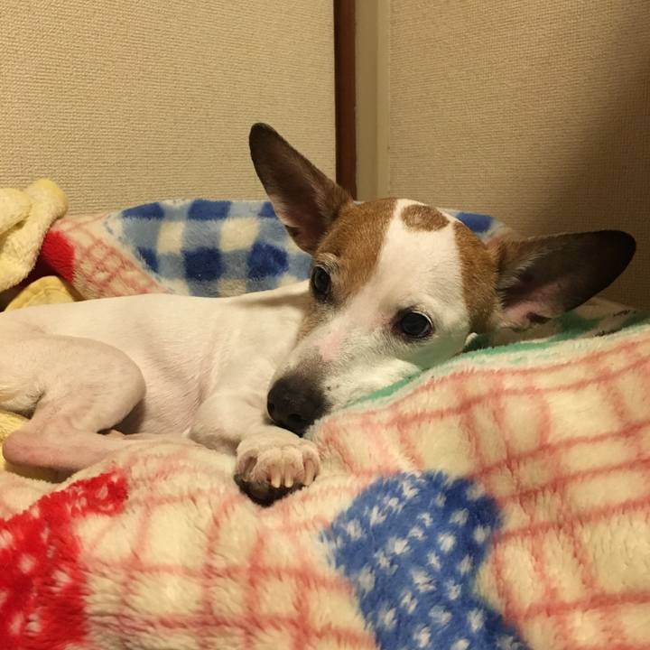 B29b7570 e537 44d2 a726 994576a457a5 1540288272743