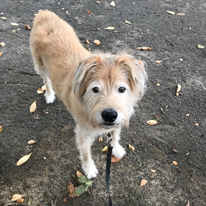 B29bc8a3 569b 4632 bd56 226458eea9b0 1603672877859