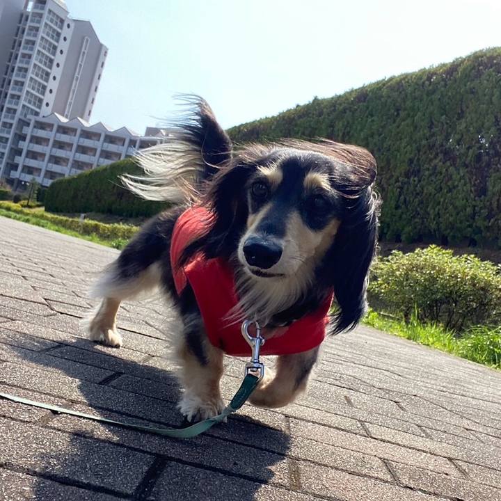 B29bcdad 3dbb 48b0 a744 4bf1a8bc29c3 1744515605528