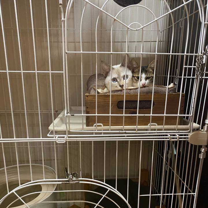 B29bd4e2 e491 47fa 83be eead94acaa38 1635061045580