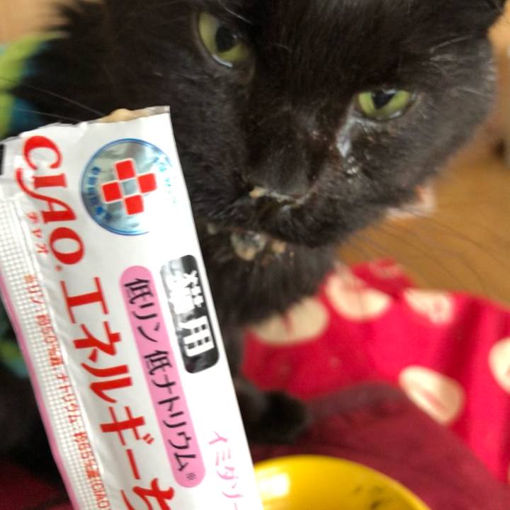 B29be829 c5a8 462a 9567 bbcb85584e6f 1647326145400