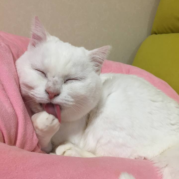 B29c3073 c41b 44f0 985a 7a30883e75df 1512998817093