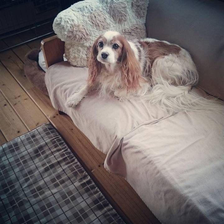 B29c4288 e132 438a afc6 e8fb8a12532a 1548937805693