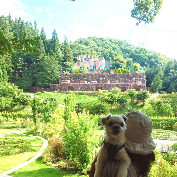 B29c5043 d802 4353 8ed2 3eb458f4a4c9 1566788439418