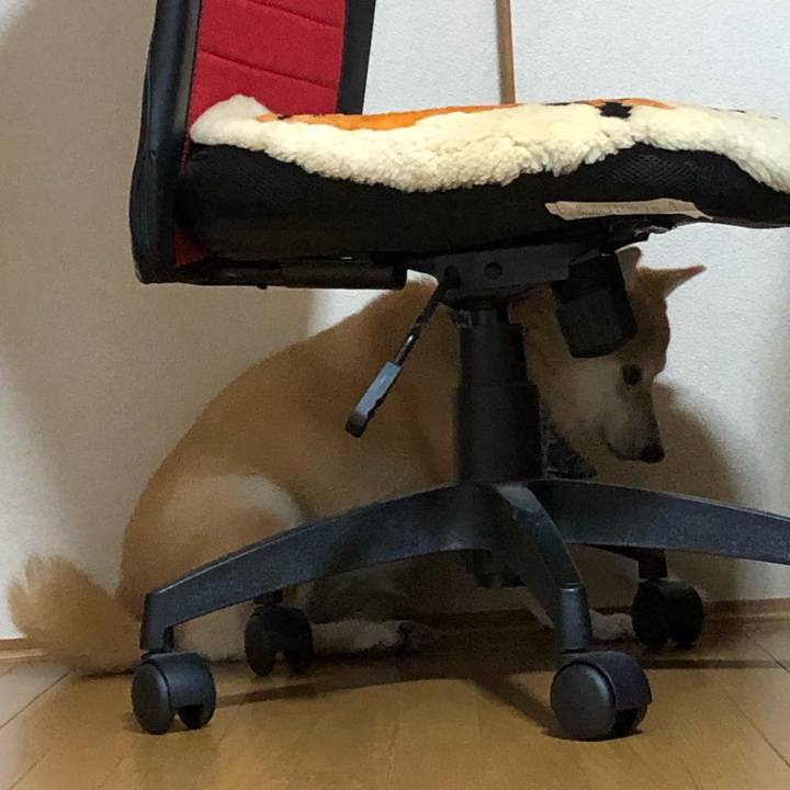 B29c577b f547 41b2 871f 890f89ed8a3c 1599023752751