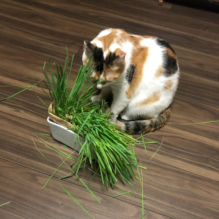 B29c628d a9c6 4de8 aaa9 86b49076f8df 1591972166034