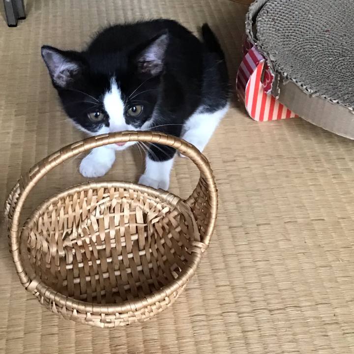 B29c90f5 fb84 465a ac37 7e694a2cc616 1625726702682