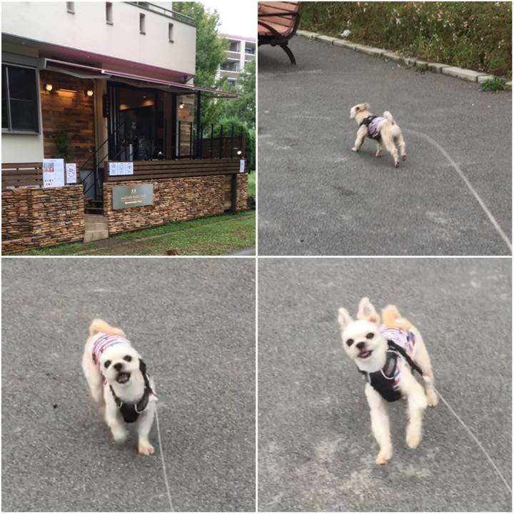 B29ca4ba c5af 478f 98f5 1b35e5132ed4 1568611861802