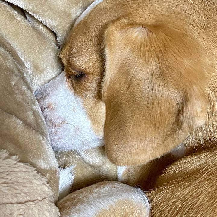 B29d00ed 3108 4a9b b51d c5a219dc6b04 1589886296097