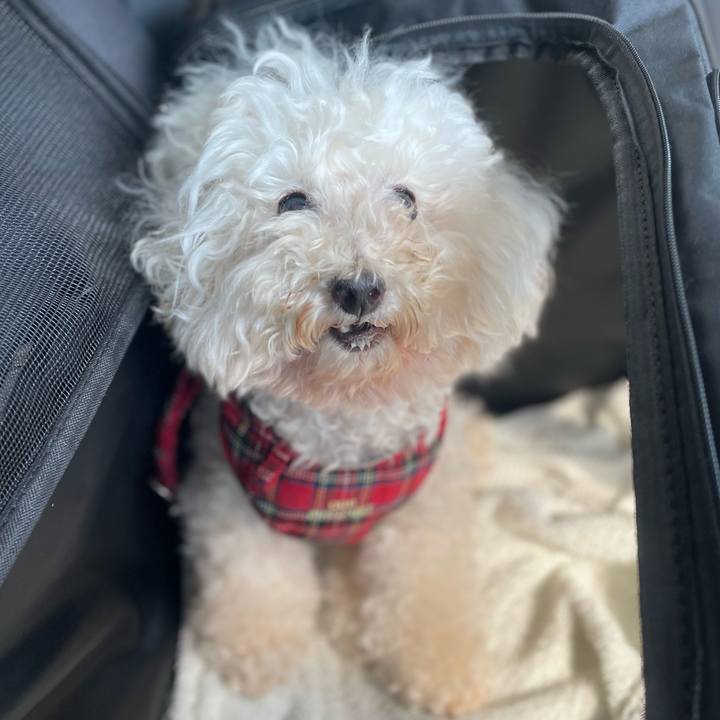 B29d016f ea4a 4a10 a59b 24ad2040ae82 1760103407211