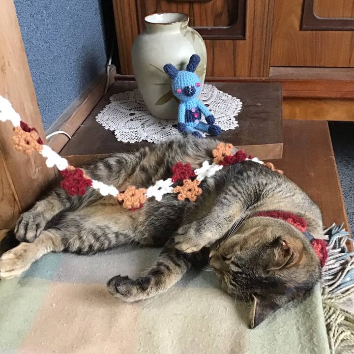 B29d183c 87a5 4731 962a 0be2cfdaeccd 1599098191567