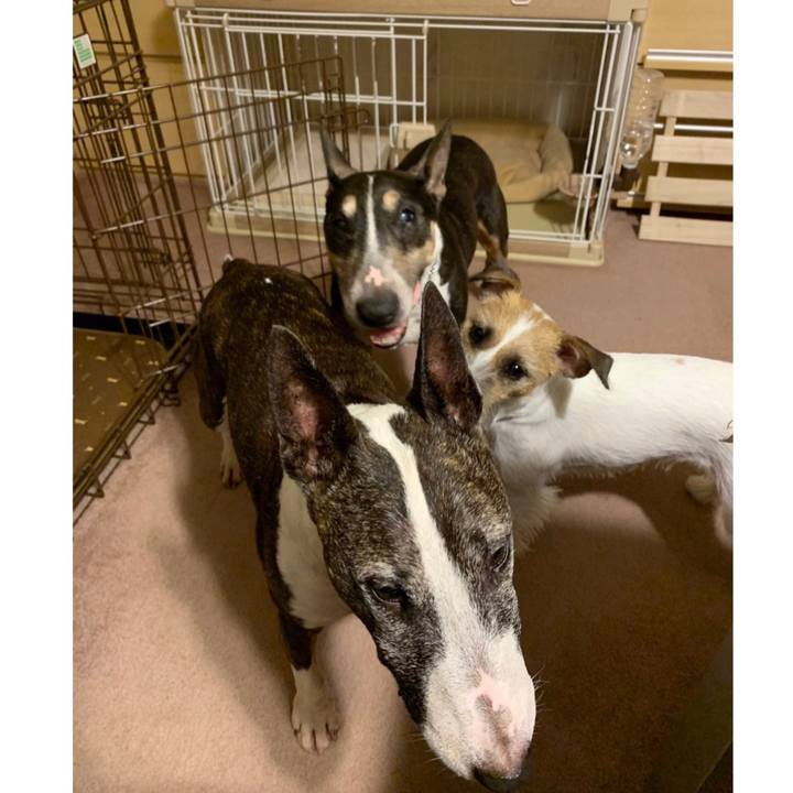 B29d2ba5 d322 4f1d a9a6 edcc271d2d38 1598009915422