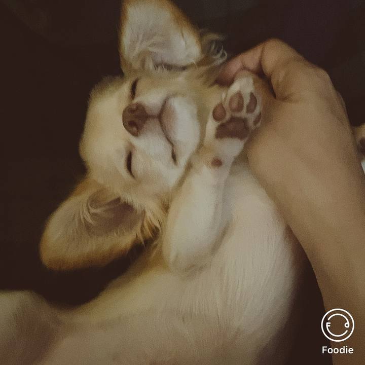 B29d2eb0 ab62 4762 9c5d b988b7daf09e 1600831055522