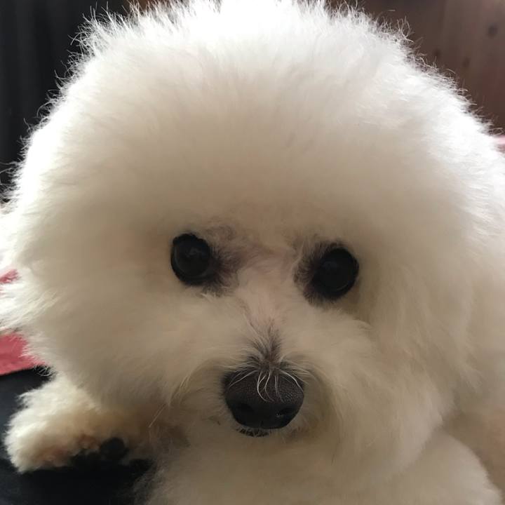 B29d3778 fd5e 4ca4 ad7f 3f5aeab4d17a 1580540403758