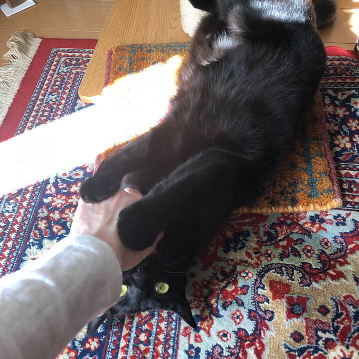 B29d3954 1dfc 4b9e 9bd4 7bb4fe58d889 1518925314505