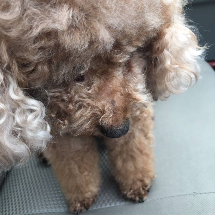 B29d3e5d 8959 4549 98a6 67ea75fb5efe 1581425269083