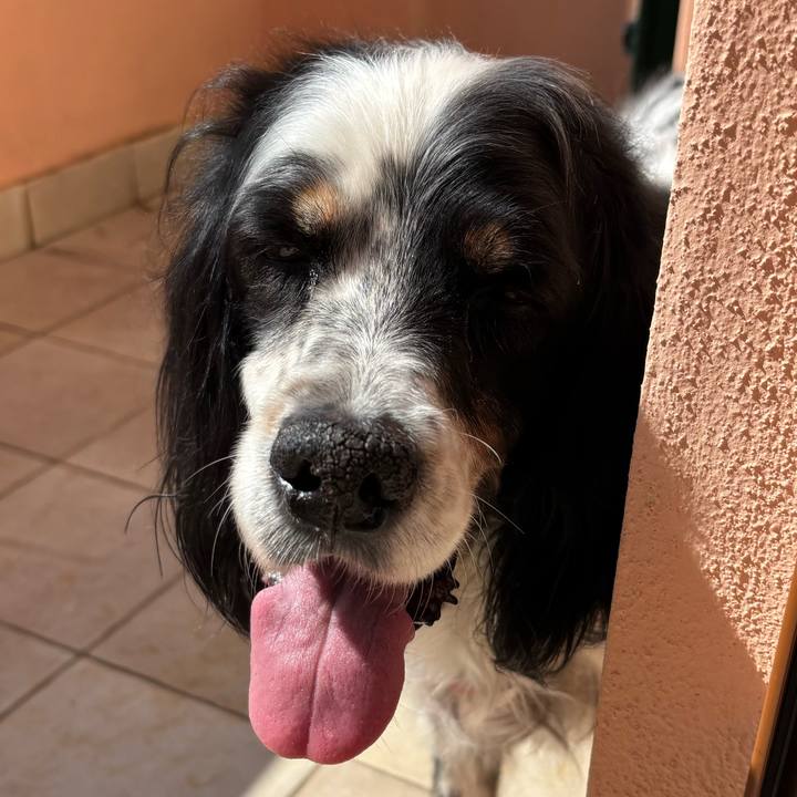 B29d83d2 5db7 4e4a 9990 1c14db28a7af 1773508871791