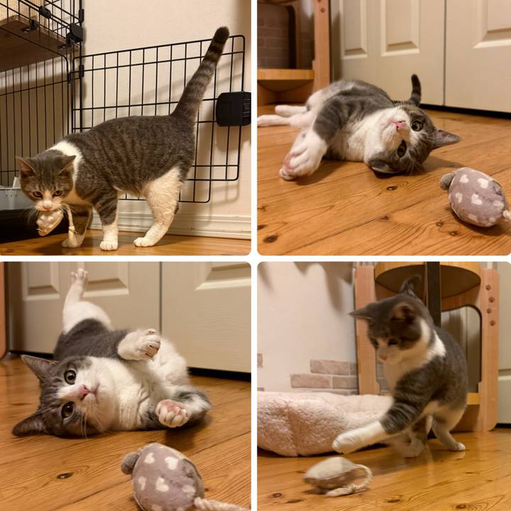 B29d8dcd ae95 40ec ba1a fdc2f1bd94f8 1765460272773