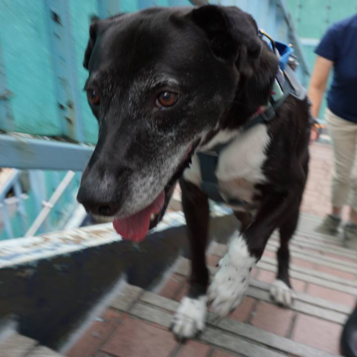 B29dbd6a ced7 4c9f a281 efd2d694f0ec 1754869977931