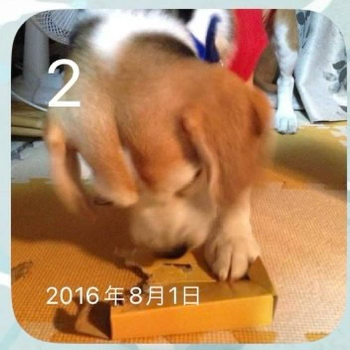 B29dd26d 8705 42c4 bc42 2d4bfcdf617c 1722550089072