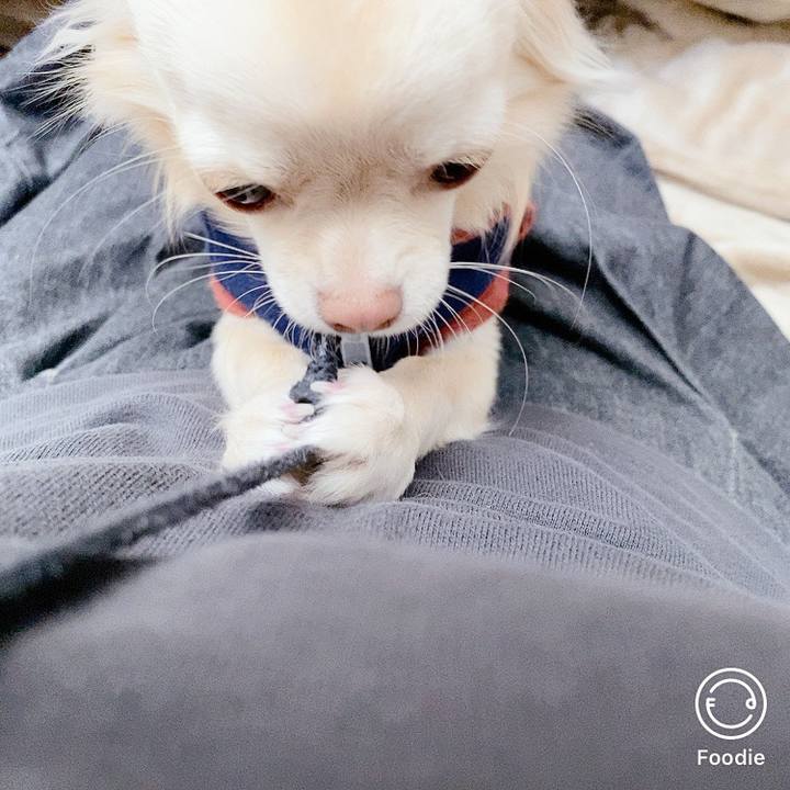 B29e211c dfac 4b69 ab01 76b9359c6f29 1605240694145