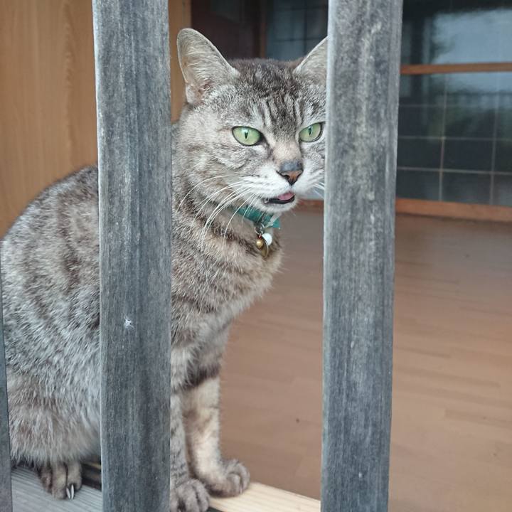 B29e438f c2d9 46ad 89a1 5b99c2706004 1559294729020