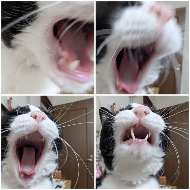 B29e47a2 862a 4376 bd97 43dac2ce495b 1752562722477