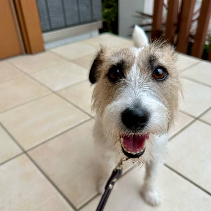 B29e73cc 123c 48bf 9ba8 a08eaca8673a 1726532900066