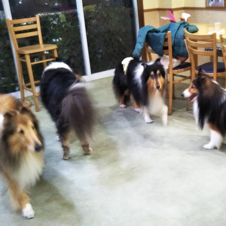 B29e77a6 1e3d 4a49 845c 90b4c34c062b 1577614944850