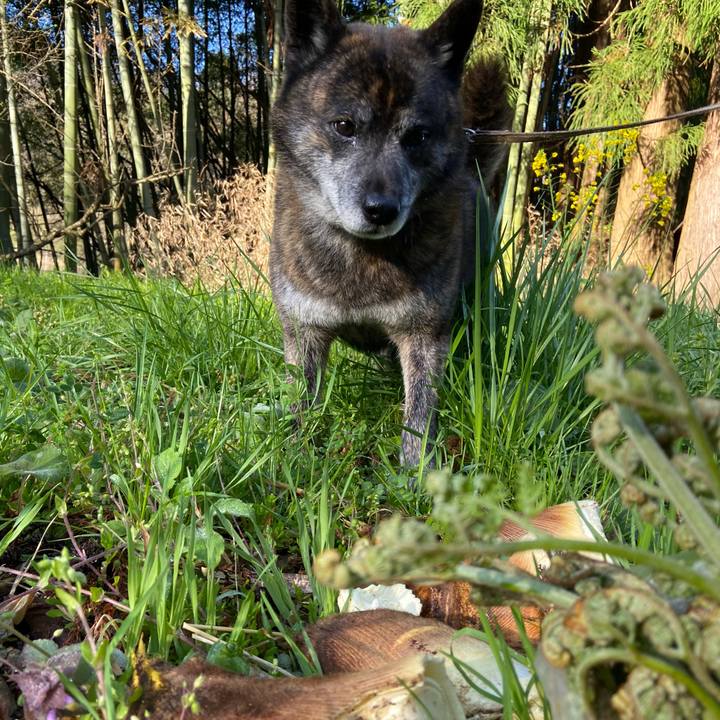 B29ec3e6 69d8 437f 9242 f22a60b4e662 1618442012187