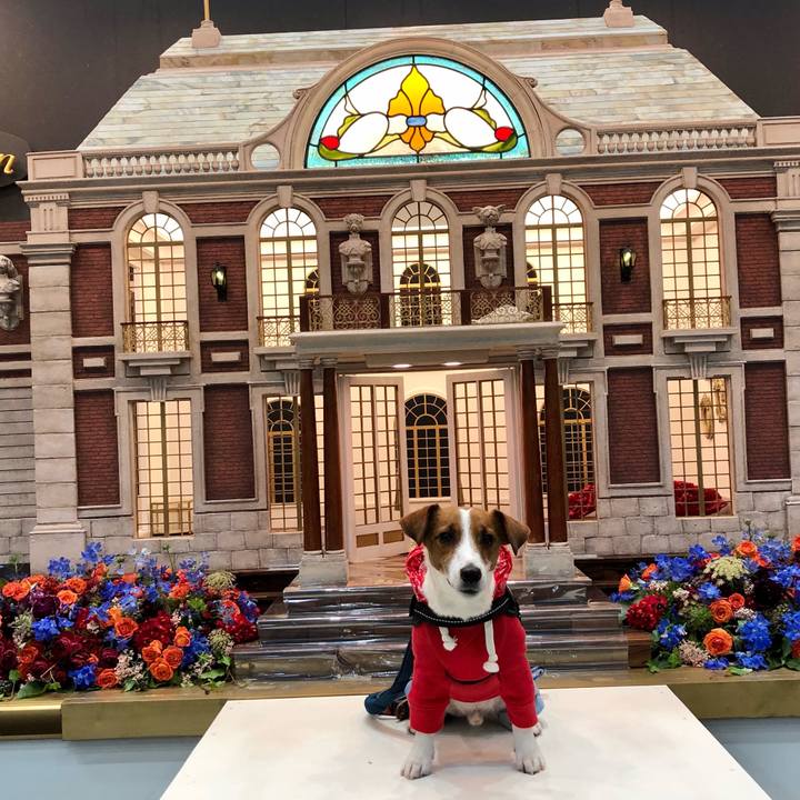 B29ec84d 6839 4e90 b680 e798d542a7fa 1617540899864