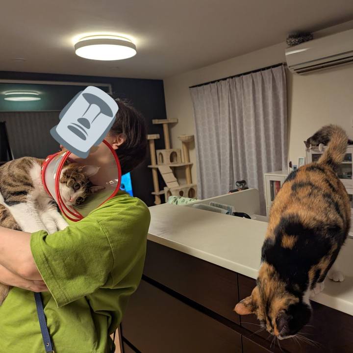 B29f7496 3455 4df1 870b a1b6e103d8b7 1758181515863