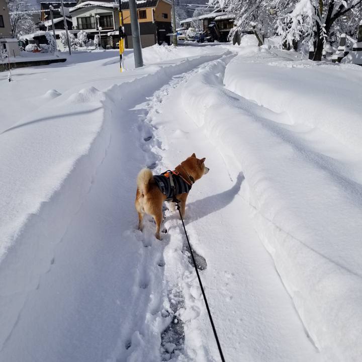 B29f8c12 d7d9 4e05 a9d3 2714f3fbf827 1639809973442