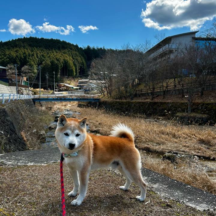 B29facd8 7928 410d bbb5 2ccd5061af0c 1773649189231