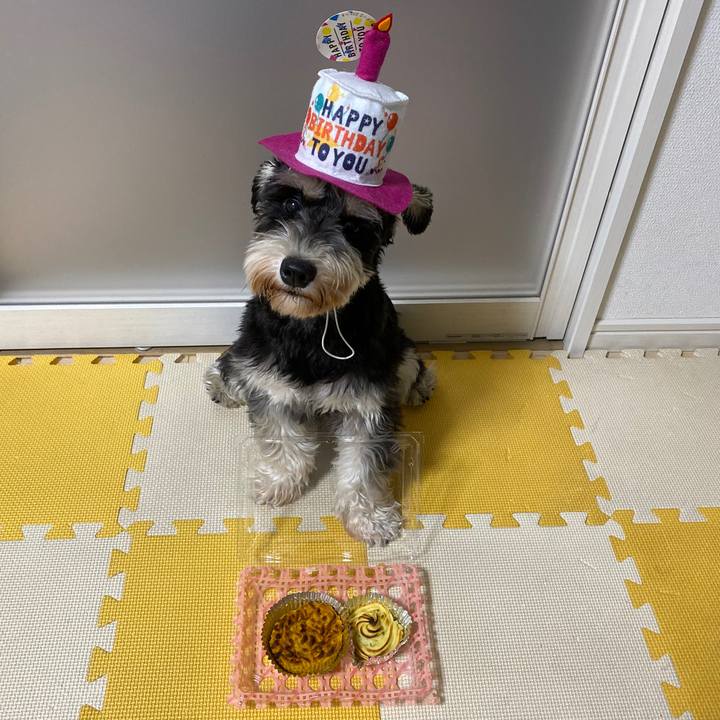 B29fc0ab 6276 48a4 ae36 c413de0362da 1571146935800