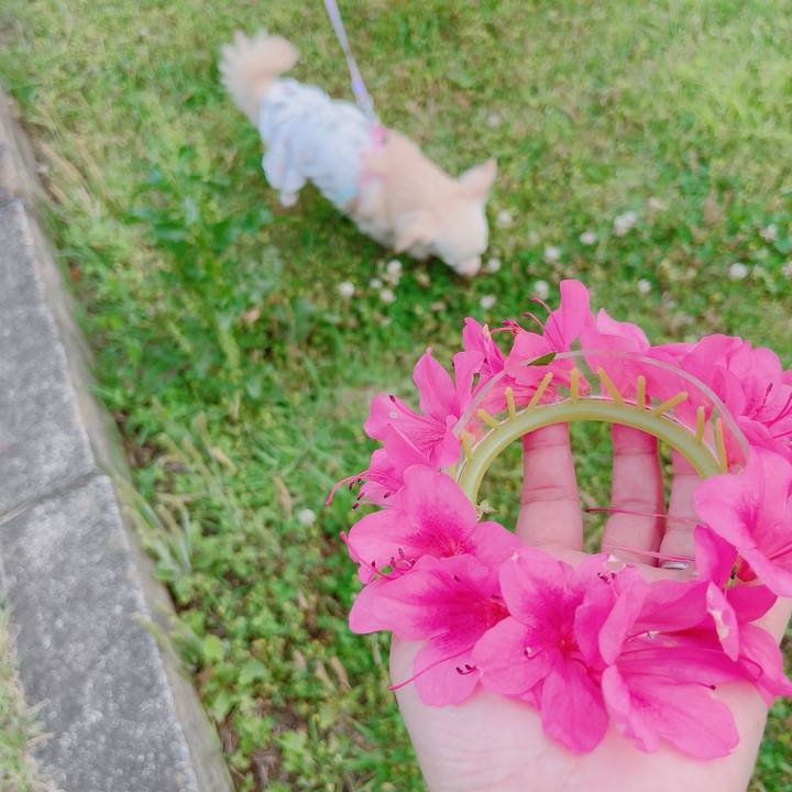 B29fc89d 28b4 4f12 bf39 c2cbc258f6cf 1684576253914