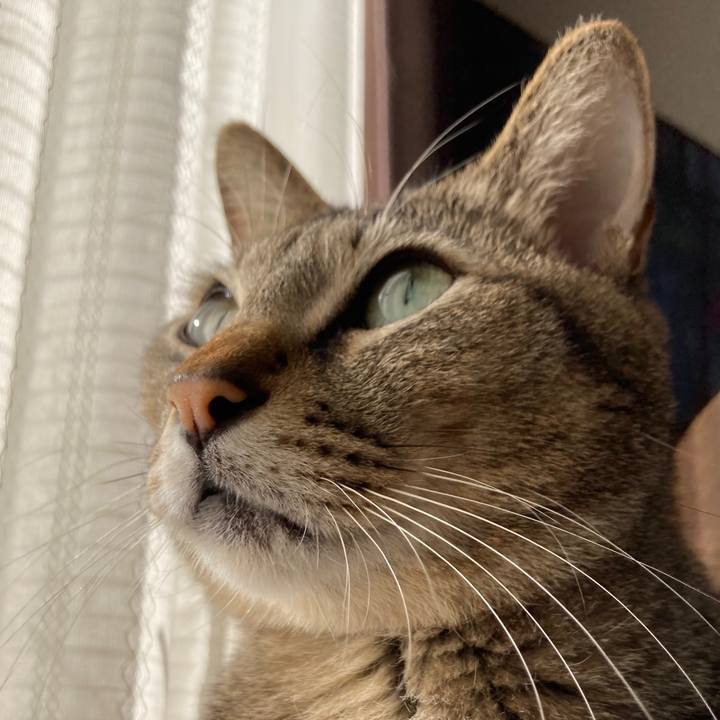 B29fd6ca 4991 447f 9d23 36840f3f9522 1764370113495