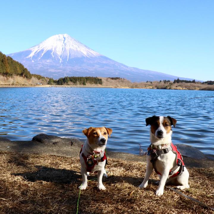 B29fd776 2aa2 4609 9373 863373878080 1549105291214