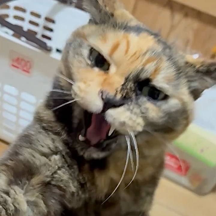 B29feaf7 a5a2 4428 ac37 8163cb7b2a50 1773866950735