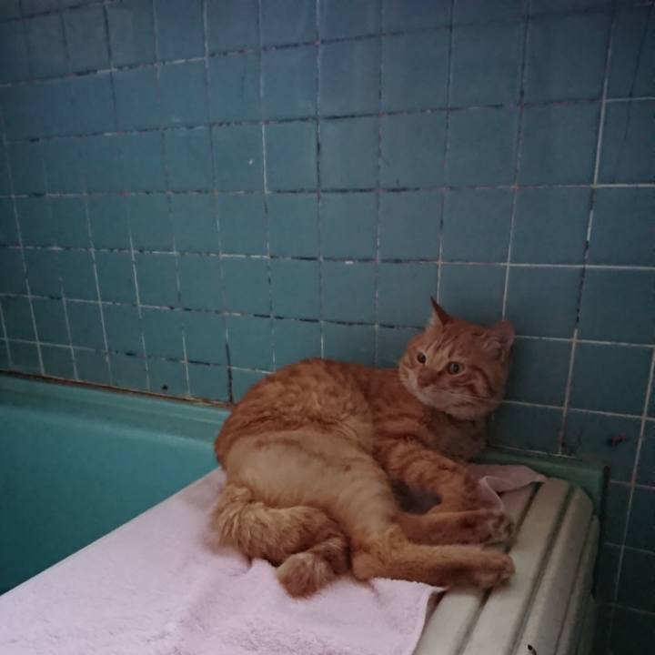 B2a004f8 843b 4ae8 b2e6 f2b038cdc614 1657273277537