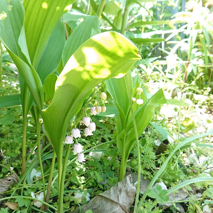 B2a046c2 0544 4e97 addb 85d16fdde4bf 1650082245266