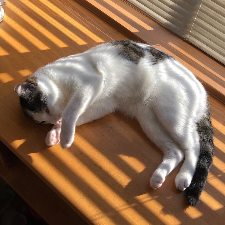 B2a0506b 3705 411b 8291 4d01c8989851 1596326690589