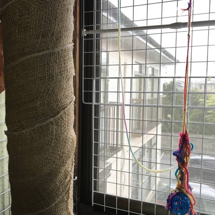 B2a05a85 6d60 4f4e 8f3e f5340c5cd741 1557128151631