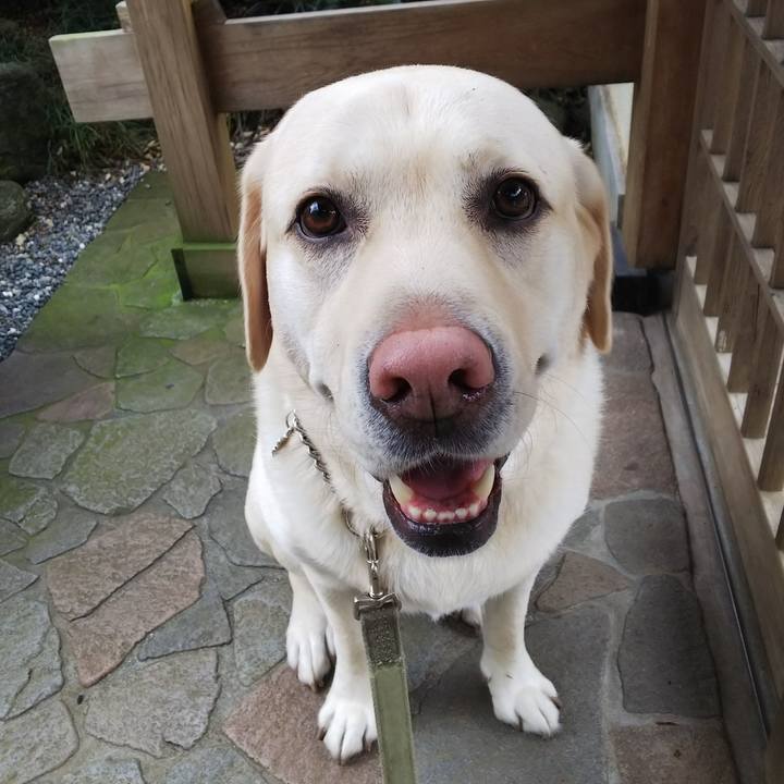 B2a0c202 1c7d 4a89 a49f 9780b4ac81a4 1577243666173