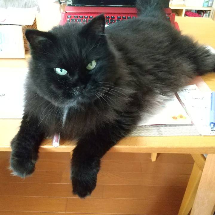 B2a0cdc7 fceb 4be9 97bb 8415b7a69996 1658644865154